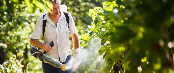 How to find a licensed certified exterminator